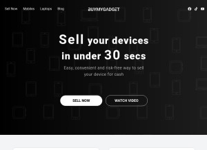 How buymygadget.com looks like on a tablet such as an iPad.