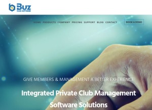 How buzsoftware.com looks like on a tablet such as an iPad.