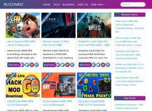 How buzzinbiz.com looks like on a tablet such as an iPad.