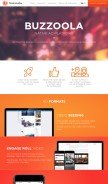 How buzzoola.com looks like on a mobile device such as an iPhone.