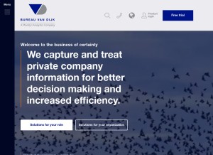 How bvdinfo.com looks like on a tablet such as an iPad.