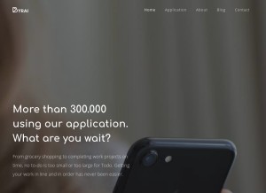 How byraisolution.com looks like on a tablet such as an iPad.