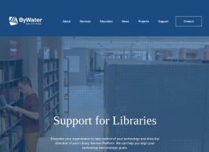 How bywatersolutions.com looks like on a tablet such as an iPad.