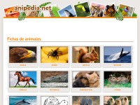 Desktop screenshot for anipedia.net