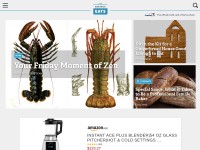 Desktop screenshot for seriouseats.com