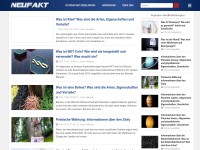 Desktop screenshot for neufakt.de