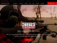 Desktop screenshot for winchester.com