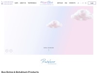 Desktop screenshot for fillercloud.com