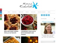 Desktop screenshot for thejennyevolution.com