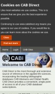 How cabdirect.org looks like on a mobile device such as an iPhone.