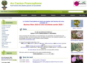 How cactuspro.com looks like on a tablet such as an iPad.