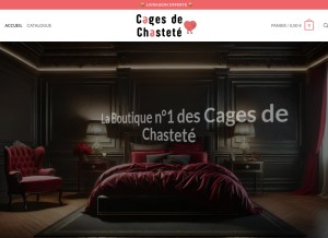 How cages-de-chastete.com looks like on a tablet such as an iPad.