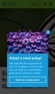 How calacademy.org looks like on a mobile device such as an iPhone.