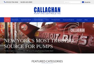 How callaghanpump.com looks like on a tablet such as an iPad.