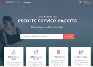 How callgirldelhii.in looks like on a tablet such as an iPad.