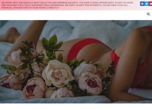 How callgirlsmanali.com looks like on a tablet such as an iPad.