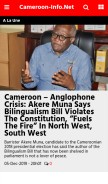 How cameroon-info.net looks like on a mobile device such as an iPhone.