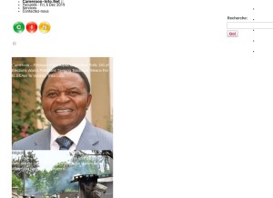 How cameroon-info.net looks like on a tablet such as an iPad.