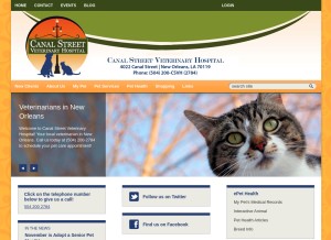 How canalstreetvet.com looks like on a tablet such as an iPad.