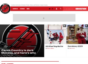 How canescountry.com looks like on a tablet such as an iPad.
