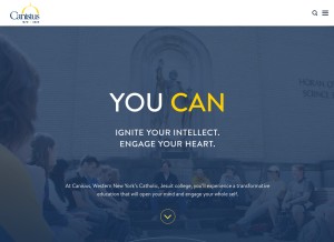 How canisius.edu looks like on a tablet such as an iPad.