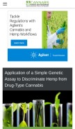 How cannabissciencetech.com looks like on a mobile device such as an iPhone.