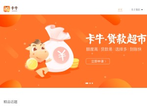 How cardniu.com looks like on a tablet such as an iPad.