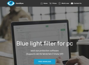 How care-eyes.com looks like on a tablet such as an iPad.
