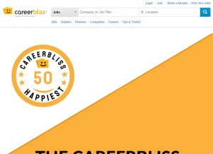 How careerbliss.com looks like on a tablet such as an iPad.