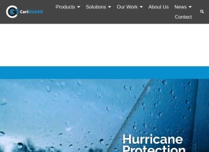 How cariguard.com looks like on a tablet such as an iPad.