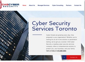 How cascybersecurity.com looks like on a tablet such as an iPad.