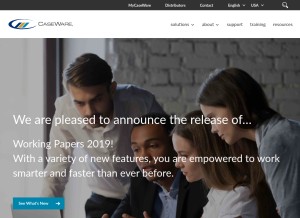 How caseware.com looks like on a tablet such as an iPad.