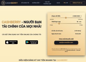 How cashberry.vn looks like on a tablet such as an iPad.