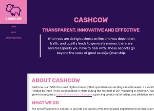 How cashcow.media looks like on a tablet such as an iPad.