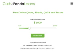 How cashpandaloans.com looks like on a tablet such as an iPad.