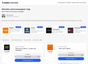 How casinokampagne.dk looks like on a tablet such as an iPad.