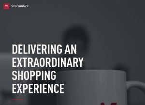 How cat5.com looks like on a tablet such as an iPad.