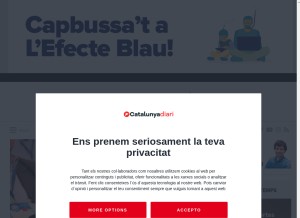 How catalunyadiari.com looks like on a tablet such as an iPad.