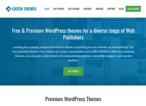How catchthemes.com looks like on a tablet such as an iPad.