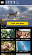 How catersnews.com looks like on a mobile device such as an iPhone.