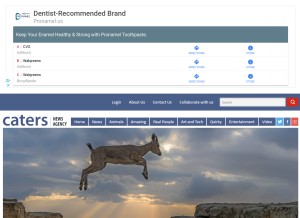 How catersnews.com looks like on a tablet such as an iPad.