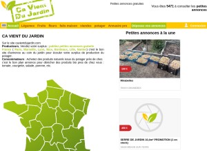 How cavientdujardin.com looks like on a tablet such as an iPad.