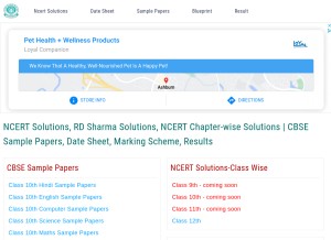 How cbsepractice.in looks like on a tablet such as an iPad.