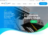 Desktop screenshot for blujaysolutions.com