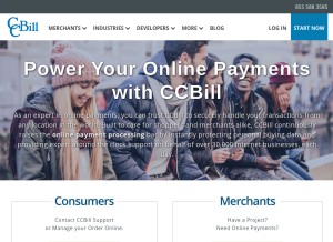 How ccbill.com looks like on a tablet such as an iPad.