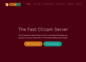 How cccambird.com looks like on a tablet such as an iPad.