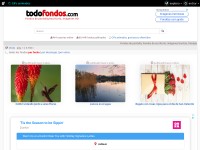 Desktop screenshot for todofondos.com