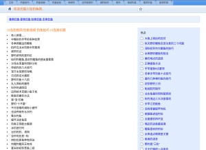 How cdfishing.cn looks like on a tablet such as an iPad.
