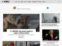 Desktop screenshot for wtoc.com