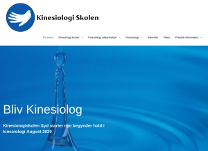 How celi.dk looks like on a tablet such as an iPad.